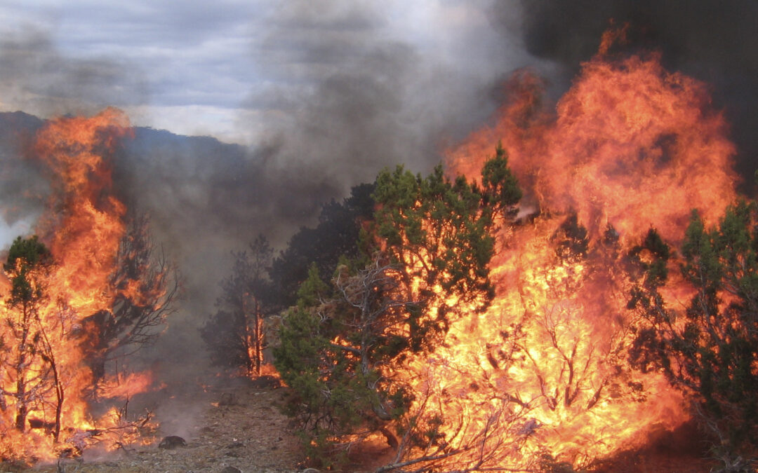 Wildfire and SageSTEP Research: an inevitable collision