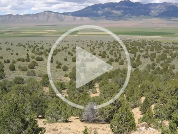 SRM Symposium: What has SageSTEP learned about sagebrush ecosystems after 10+ yrs of post-treatment monitoring?