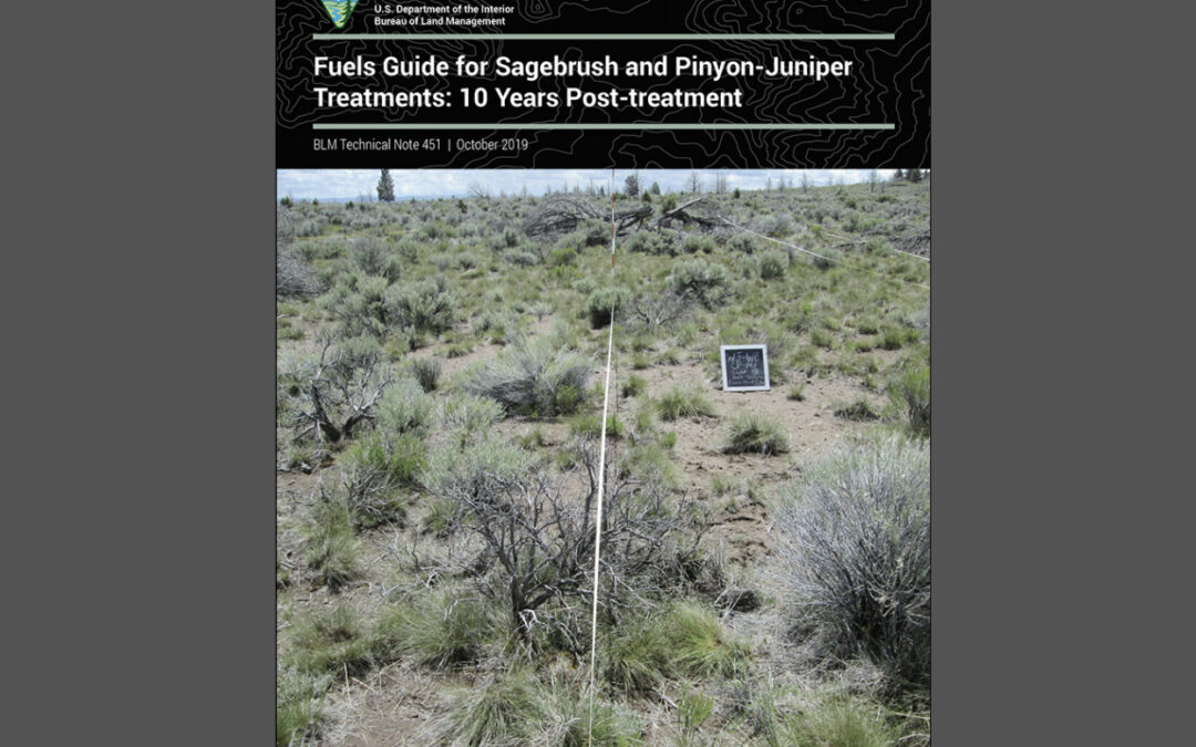 Fuels Guide for Sagebrush and Pinyon Juniper Reduction Treatments: 10 years post-treatment