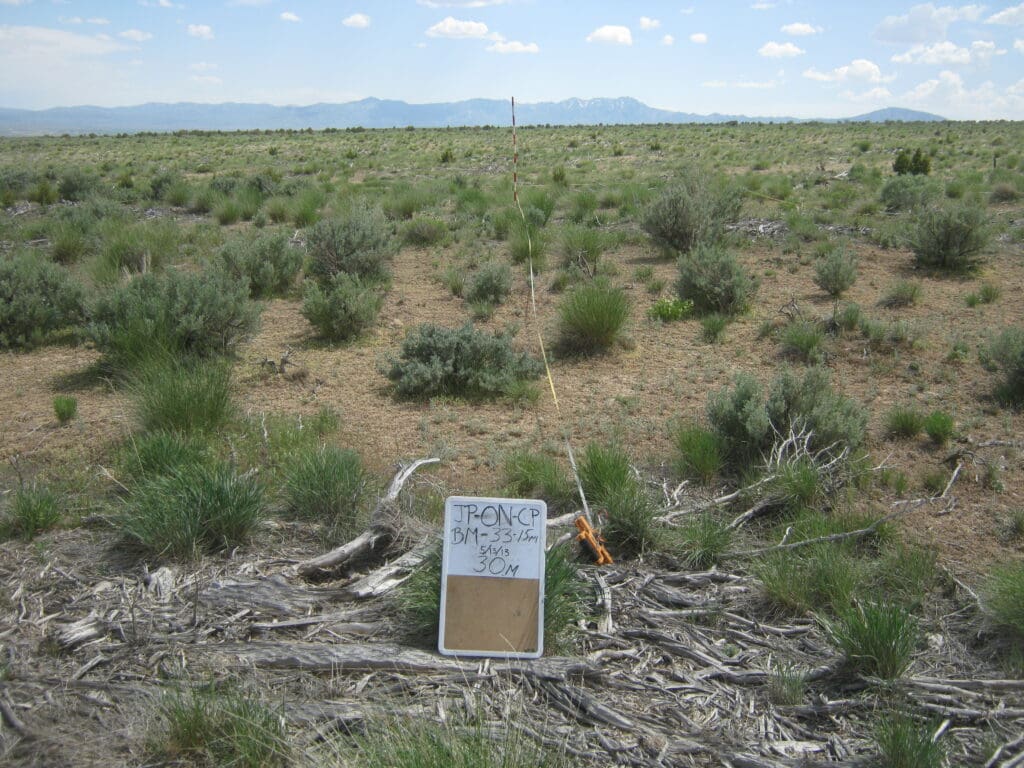 2013: 7 years post-treatment