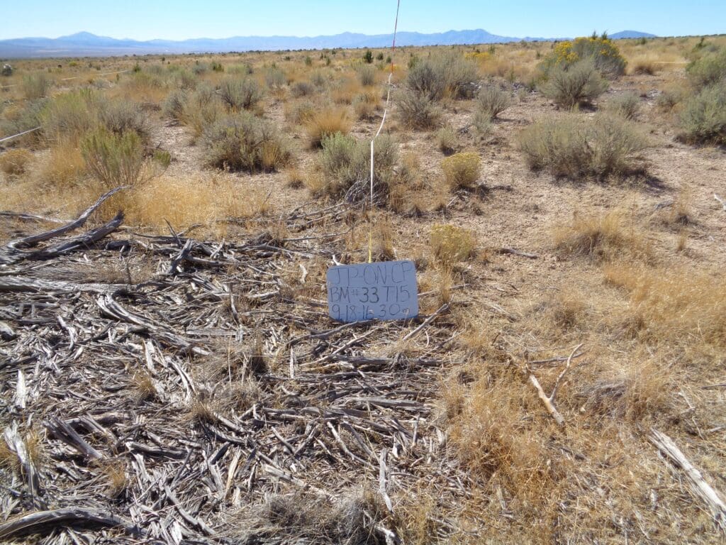 2016: 10 years post-treatment