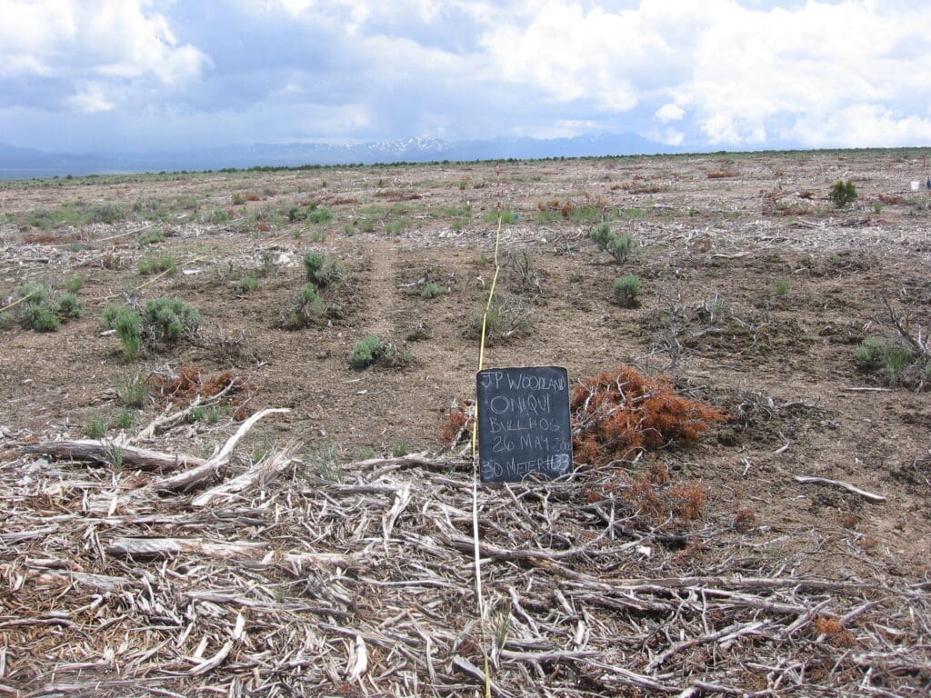 2008: 2 years post-treatment