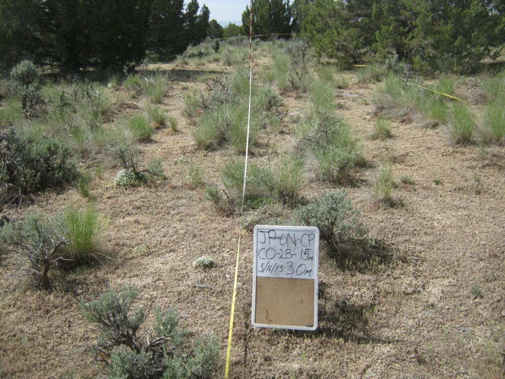 2013: 7 years post-treatment