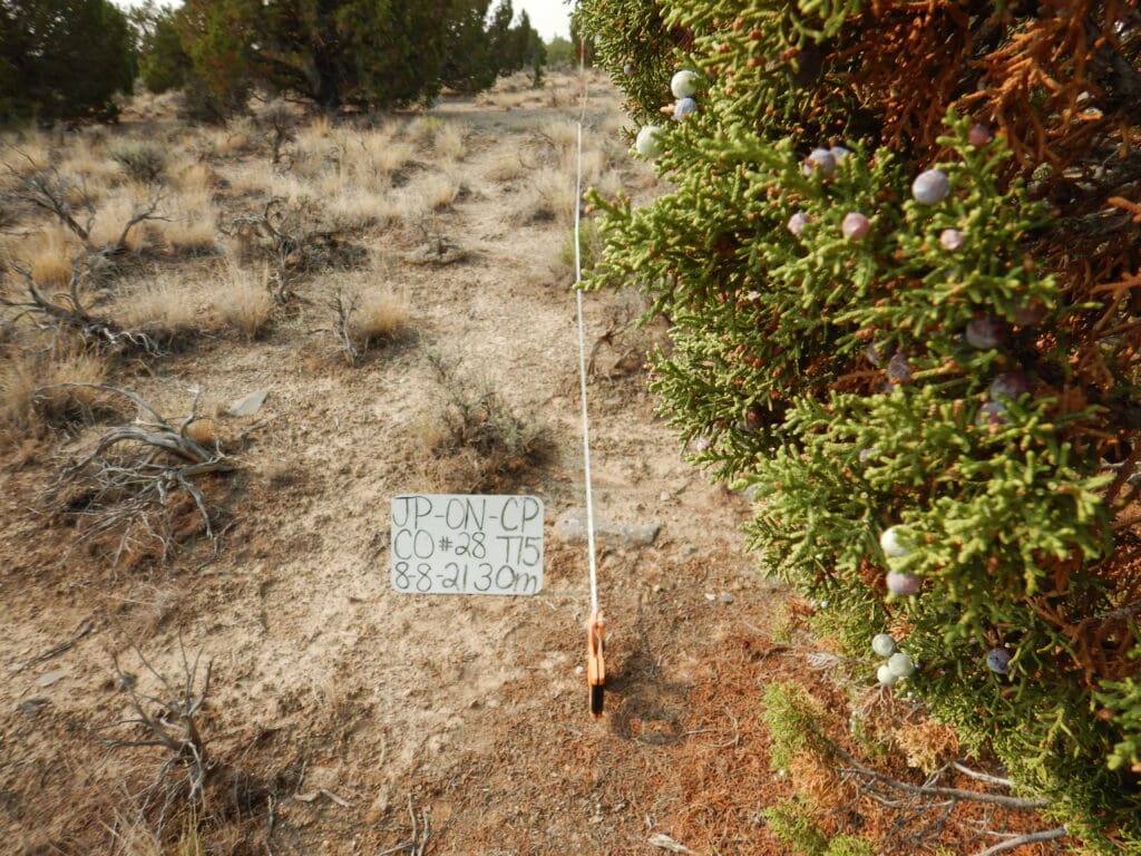 2021: 15 years post-treatment