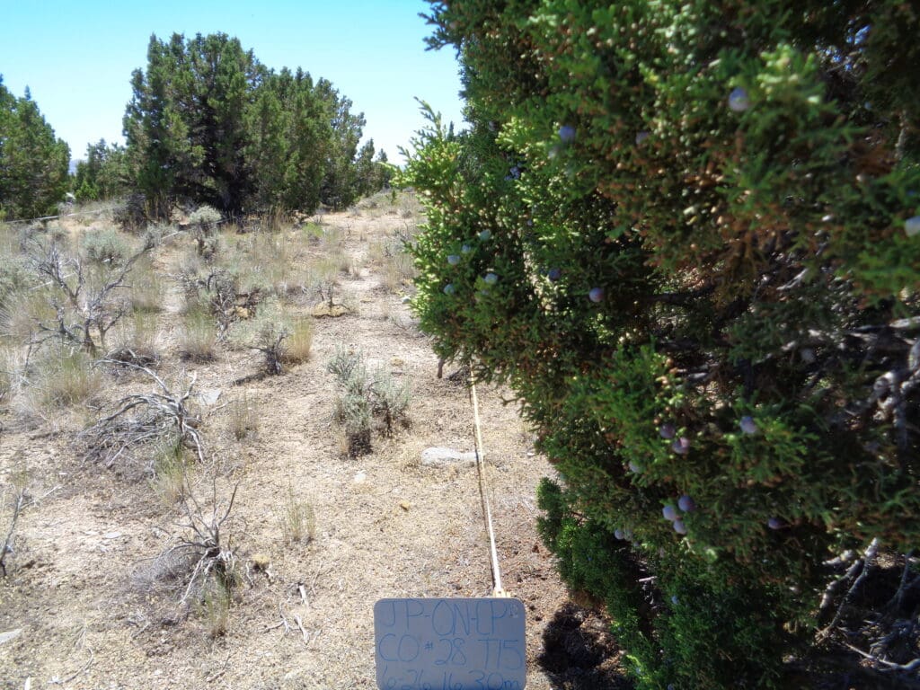 2016: 10 years post-treatment