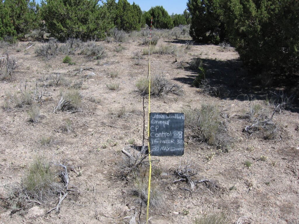 2007: 1 year post-treatment