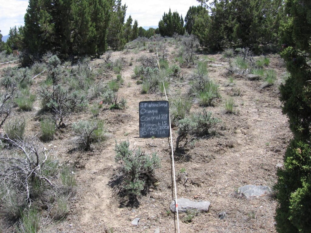 2008: 2 years post-treatment