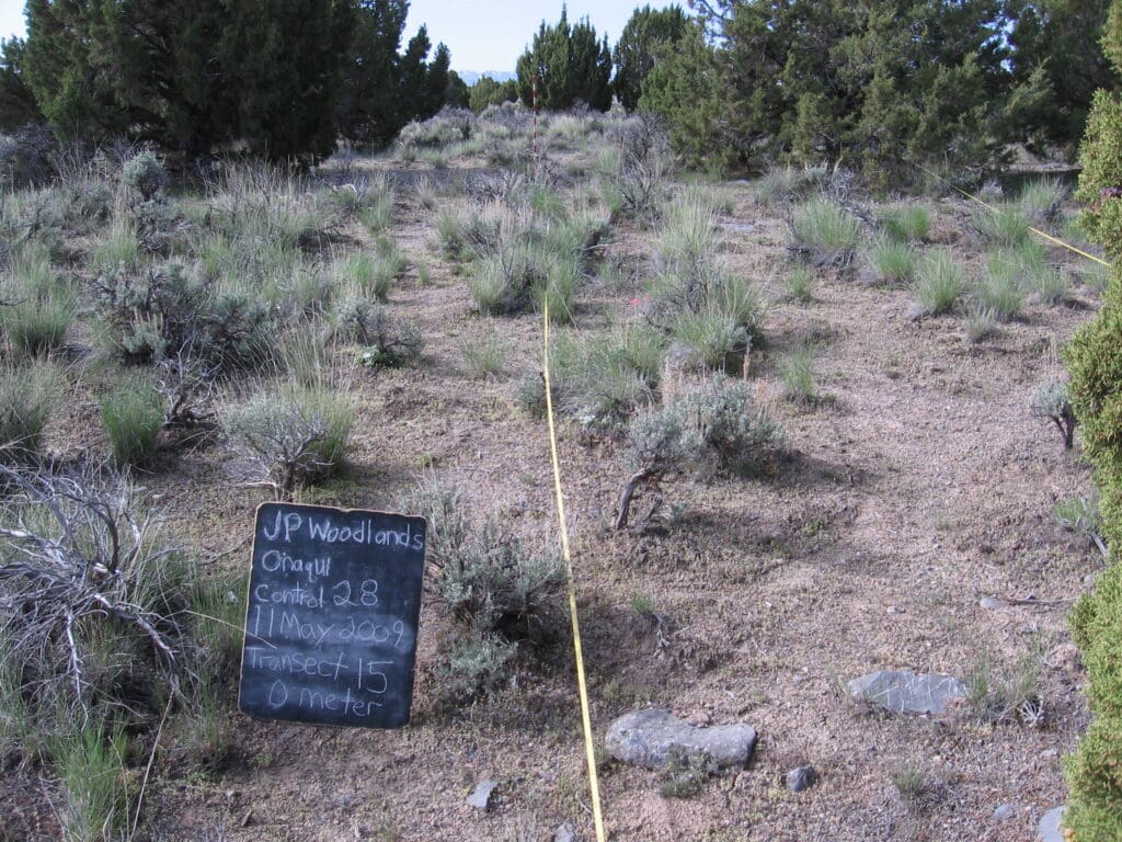 2009: 3 years post-treatment