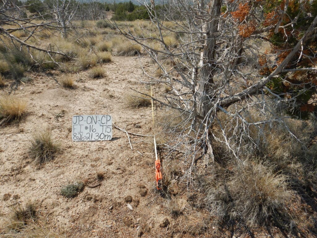 2021: 15 years post-treatment