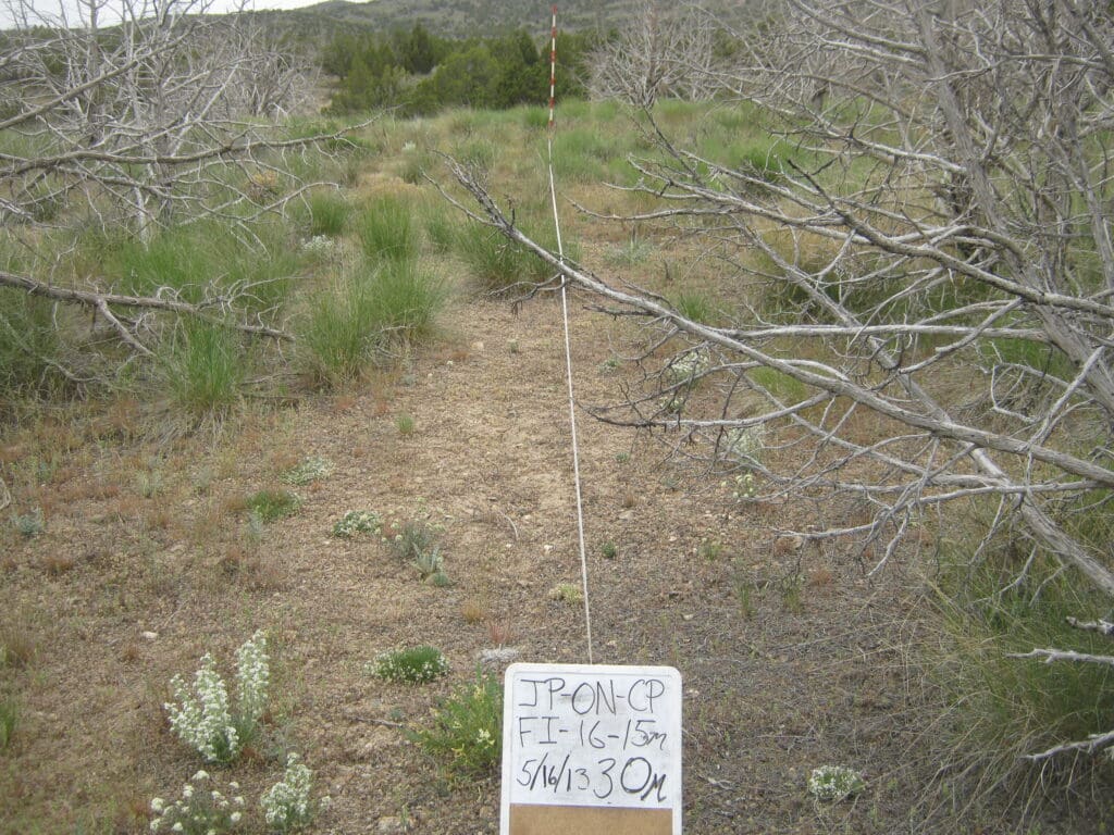 2013: 7 years post-treatment