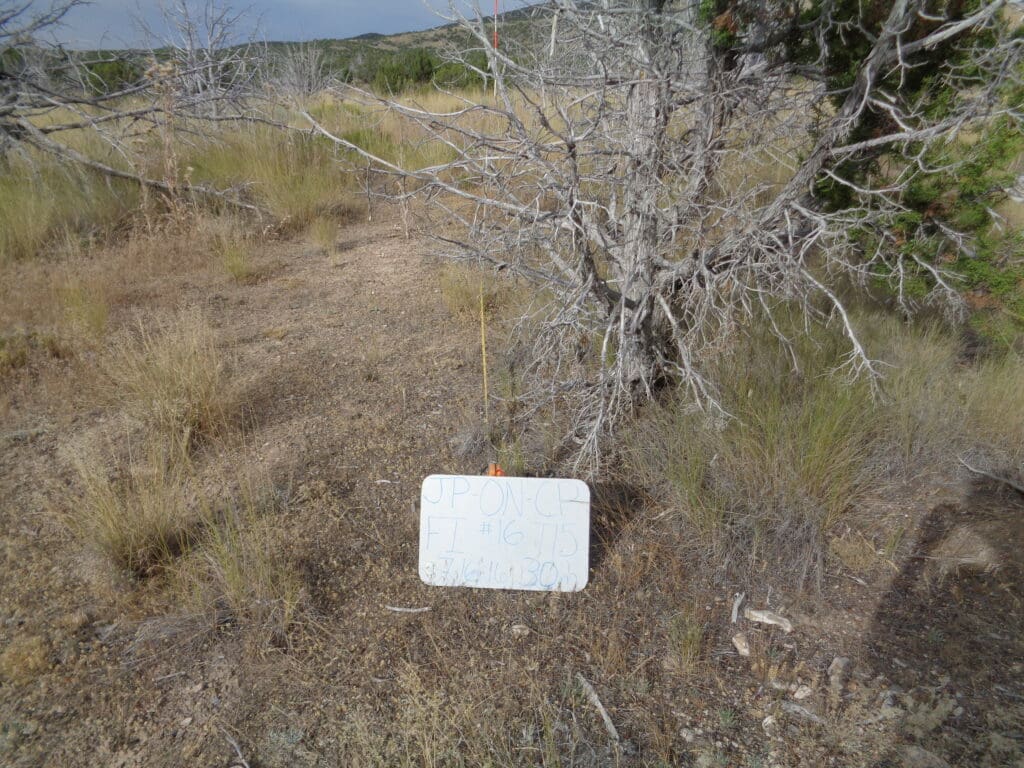 2016: 10 years post-treatment