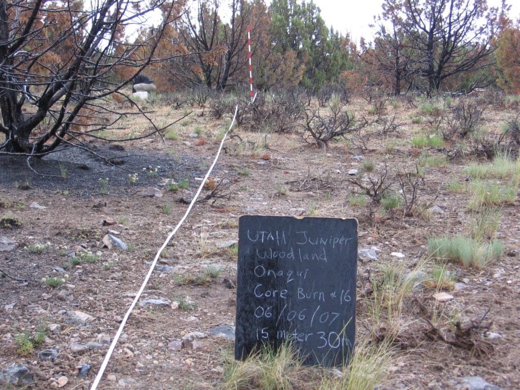 2007: 1 year post-treatment