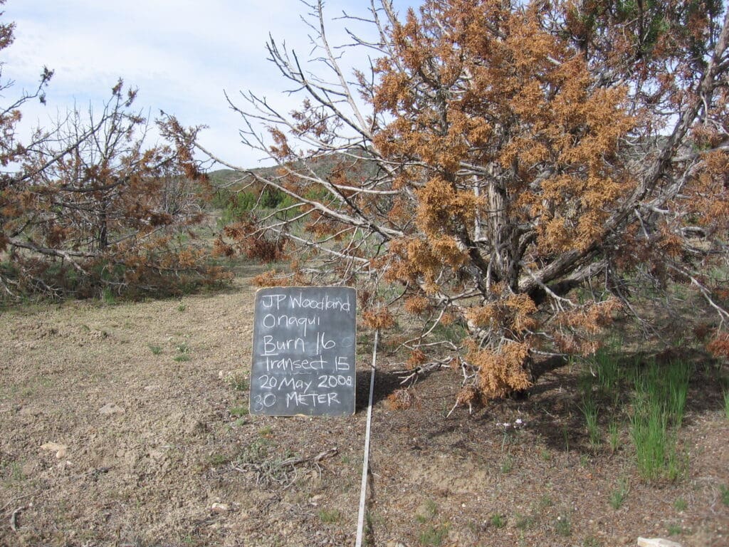 2008: 2 years post-treatment