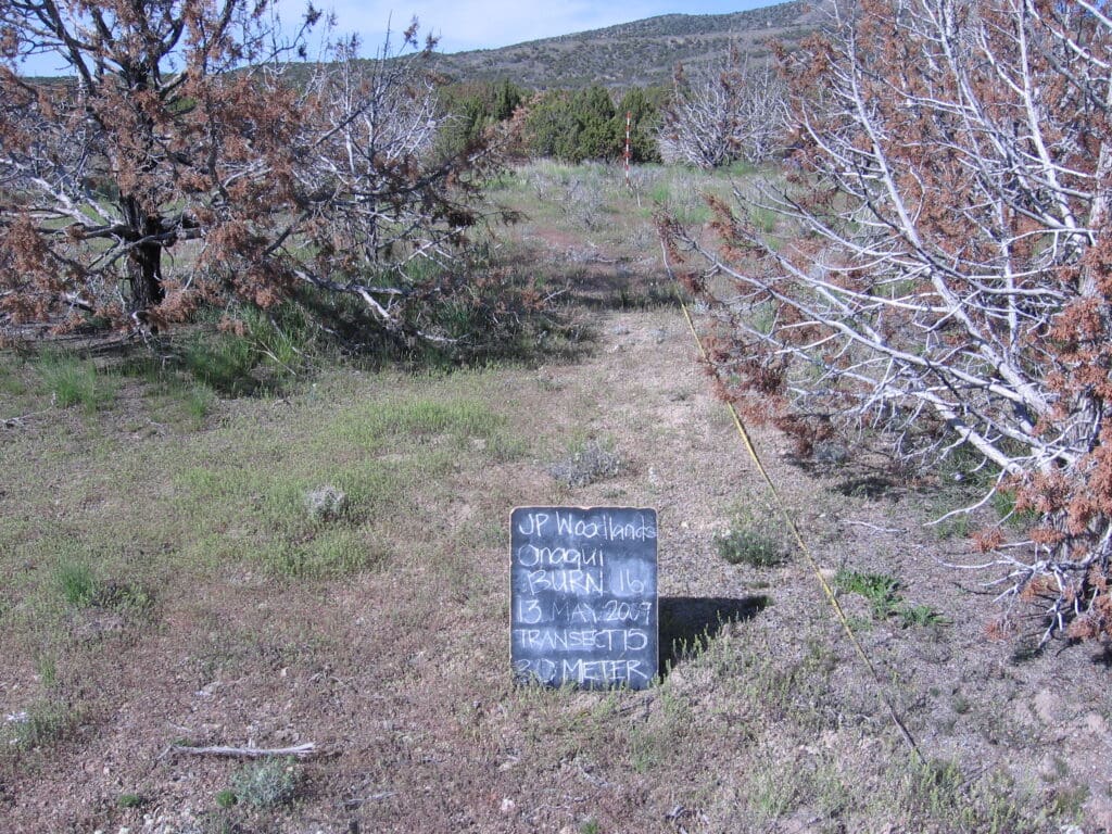 2009: 3 years post-treatment