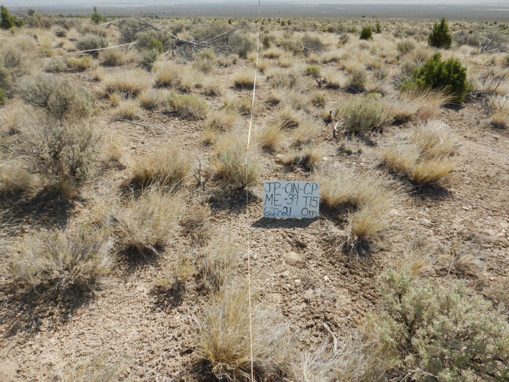 2021: 15 years post-treatment