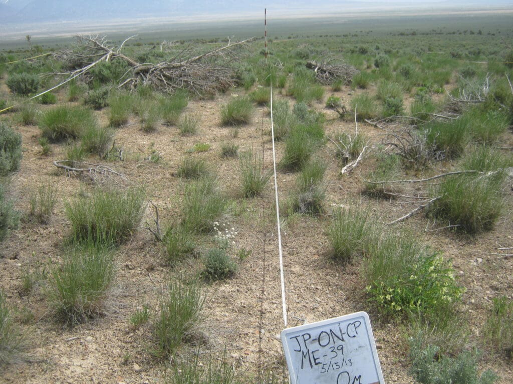 2013: 7 years post-treatment