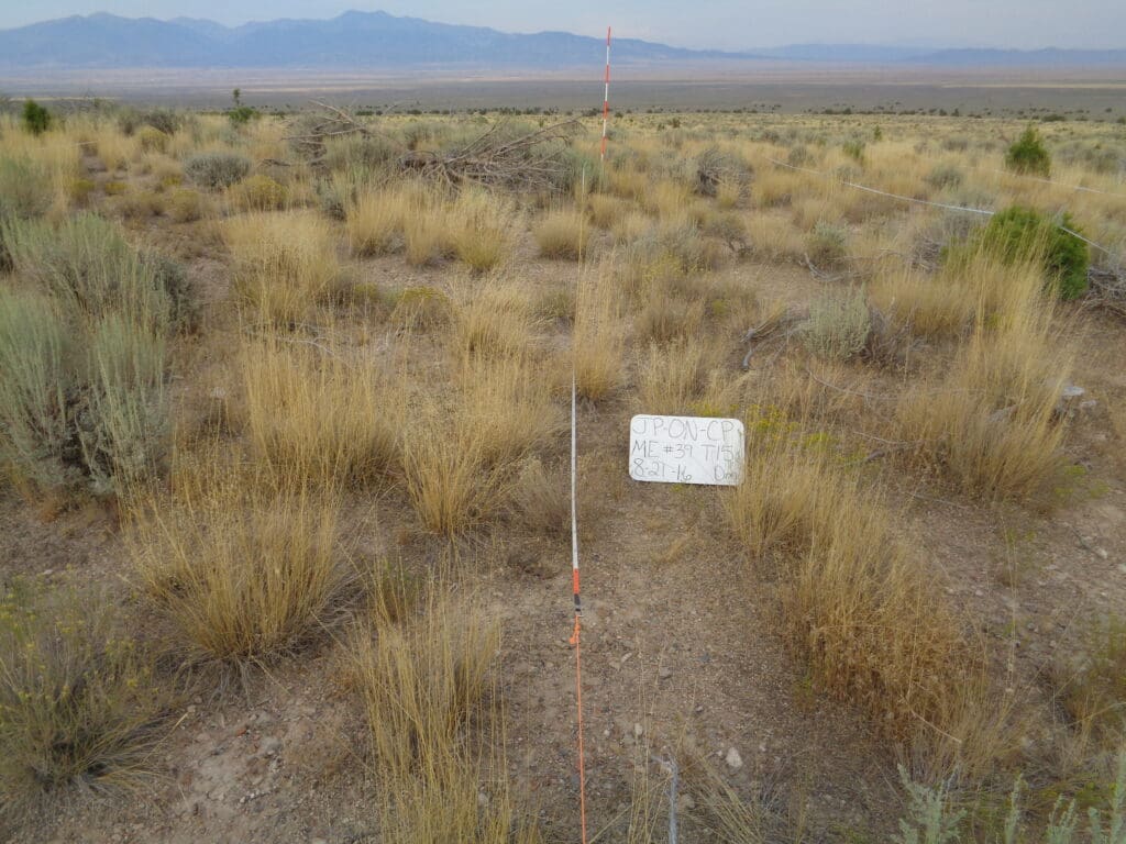 2016: 10 years post-treatment