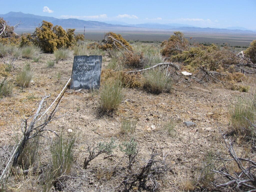 2007: 1 year post-treatment