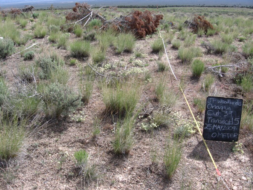 2009: 3 years post-treatment