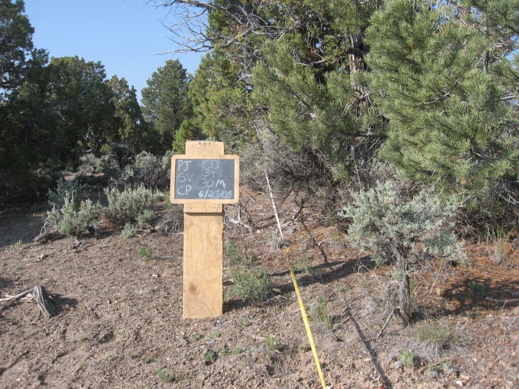 2008: 1 year post-treatment