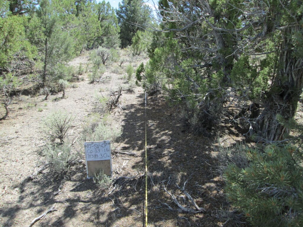 2013: 6 years post-treatment