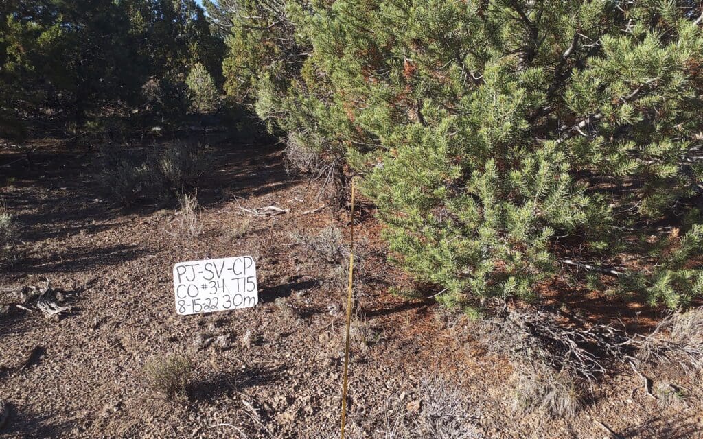 2022: 15 years post-treatment