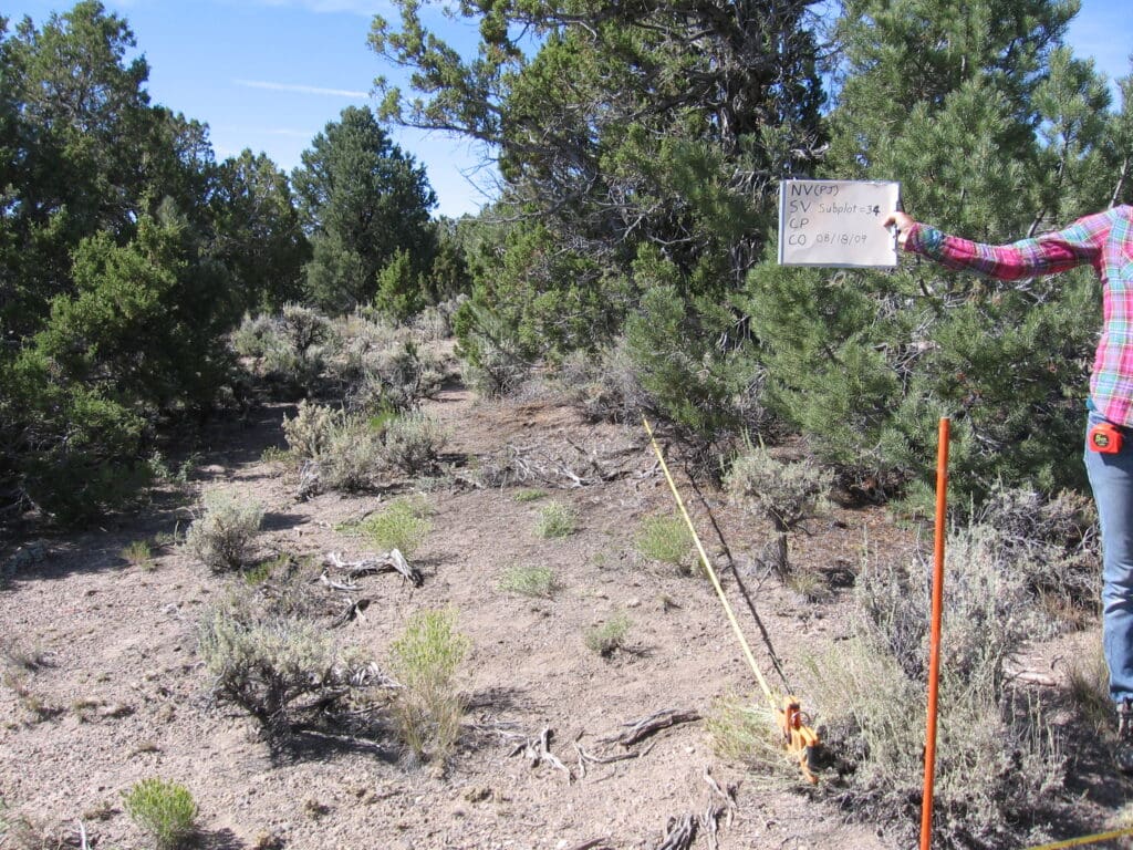 2009: 2 years post-treatment