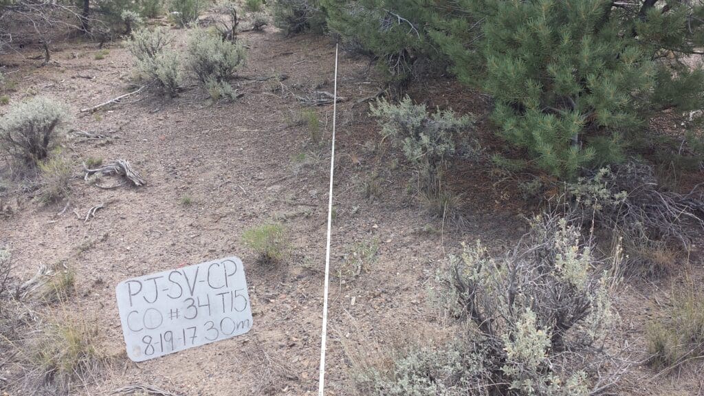 2017: 10 years post-treatment