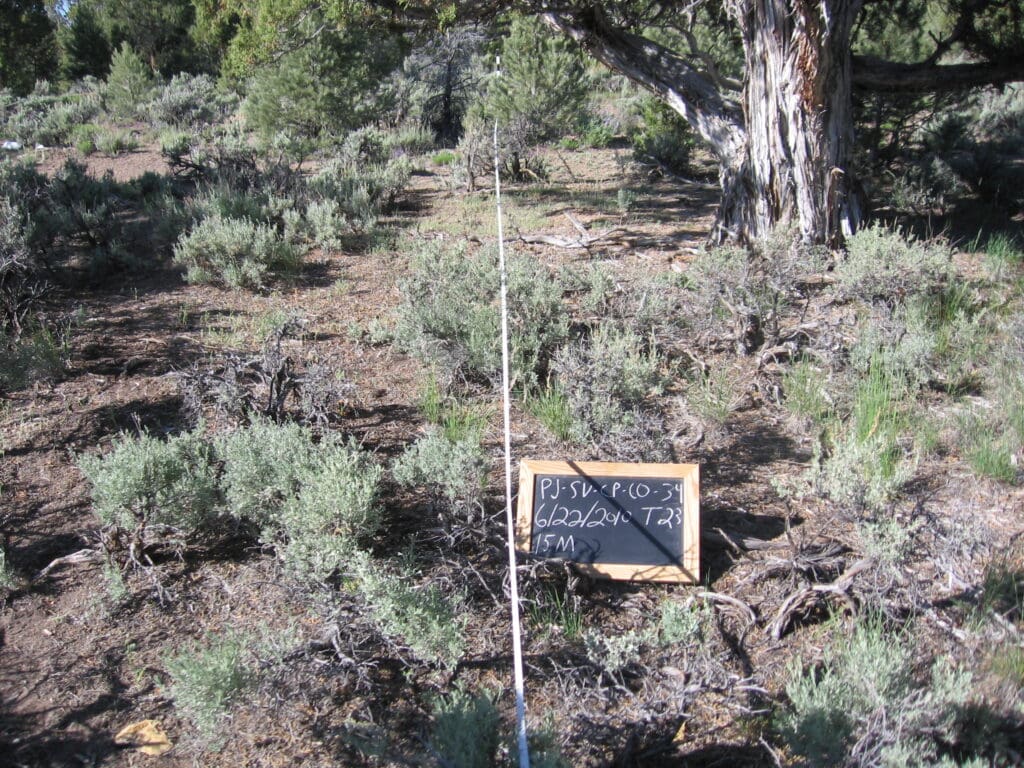 2010: 3 years post-treatment