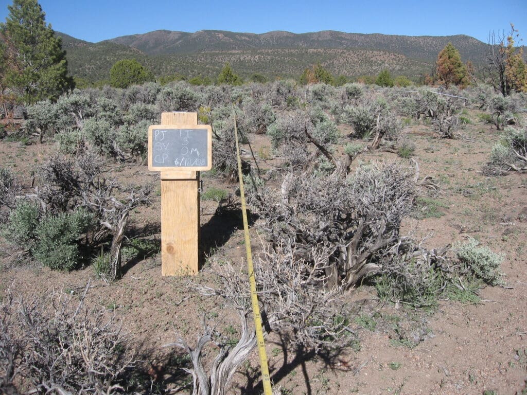 2008: 1 year post-treatment