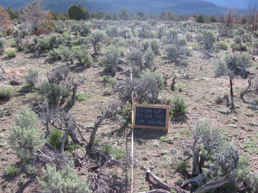 2010: 3 years post-treatment