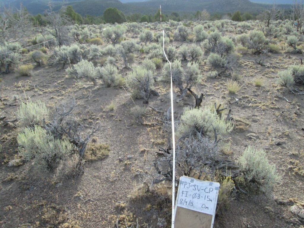 2013: 6 years post-treatment