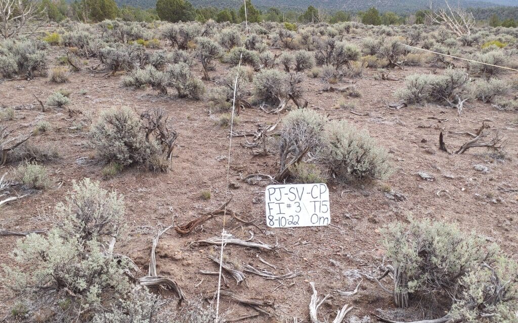 2022: 15 years post-treatment