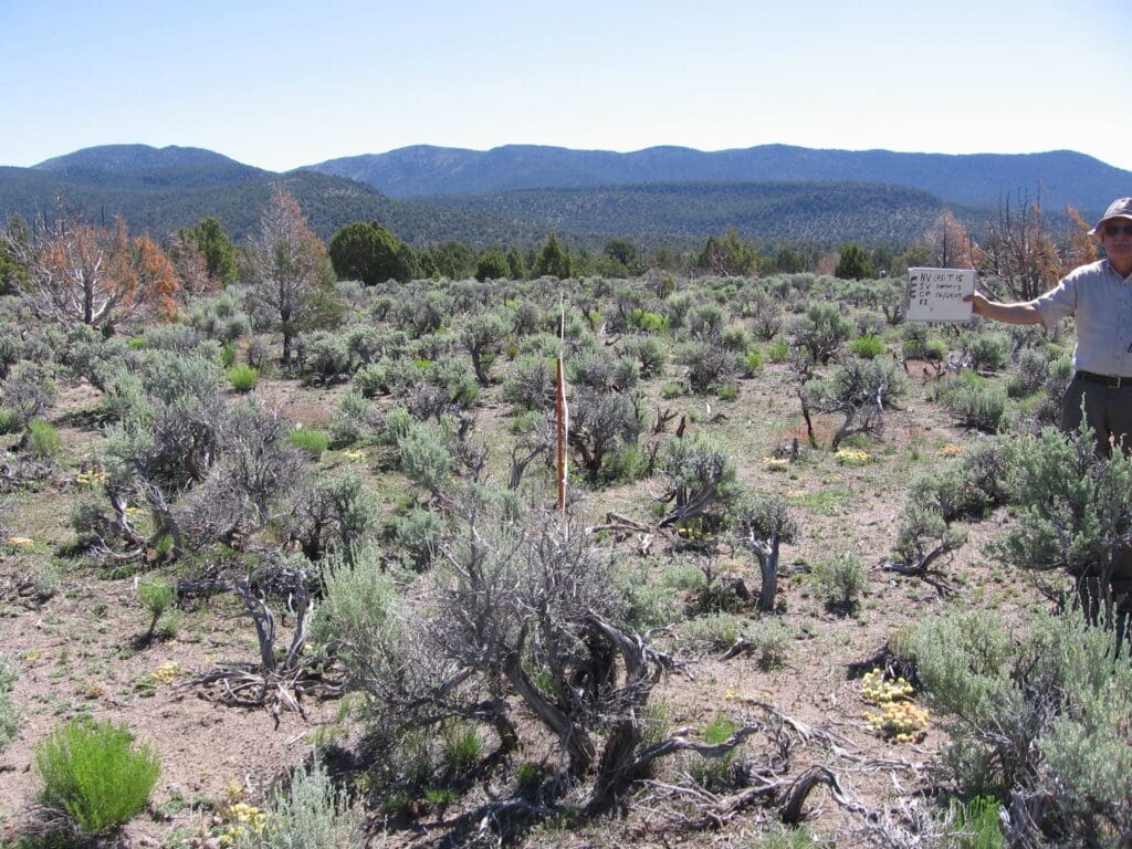 2009: 2 years post-treatment