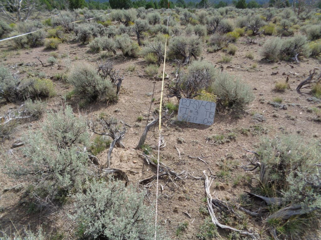 2017: 10 years post-treatment