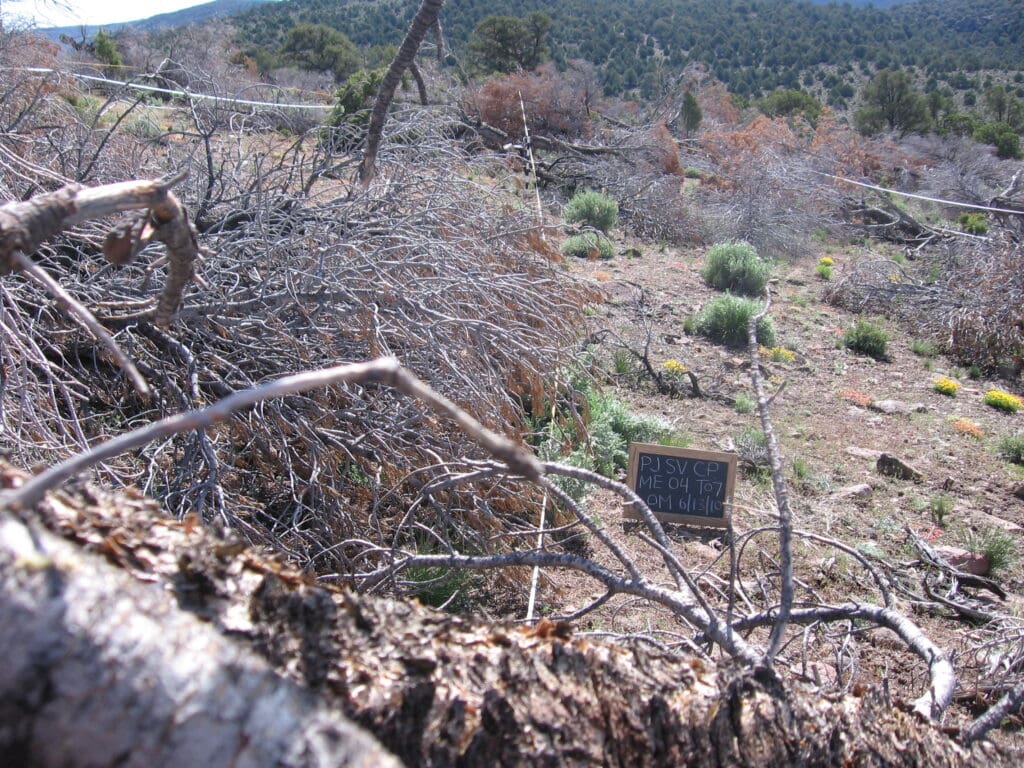 2010: 3 years post-treatment