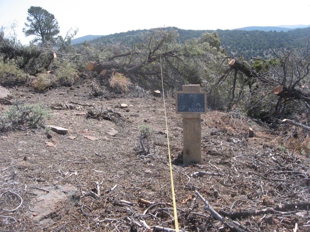 2008: 1 year post-treatment