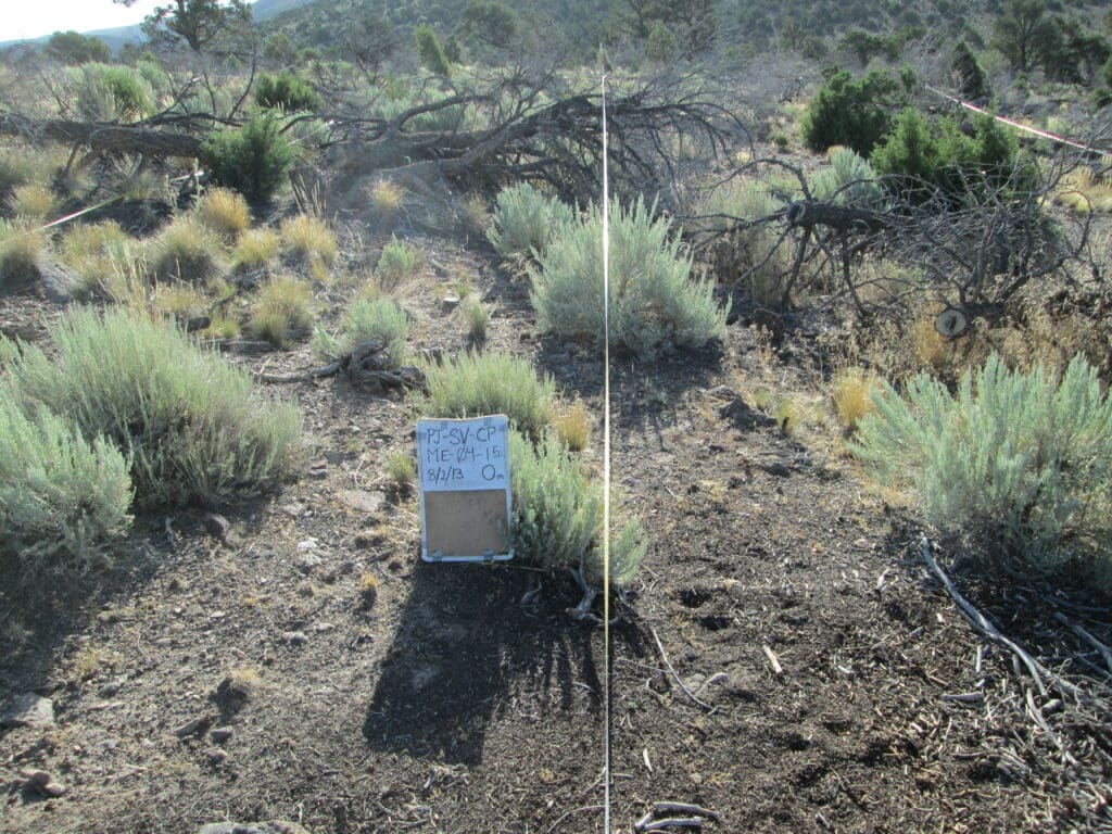 2013: 6 years post-treatment