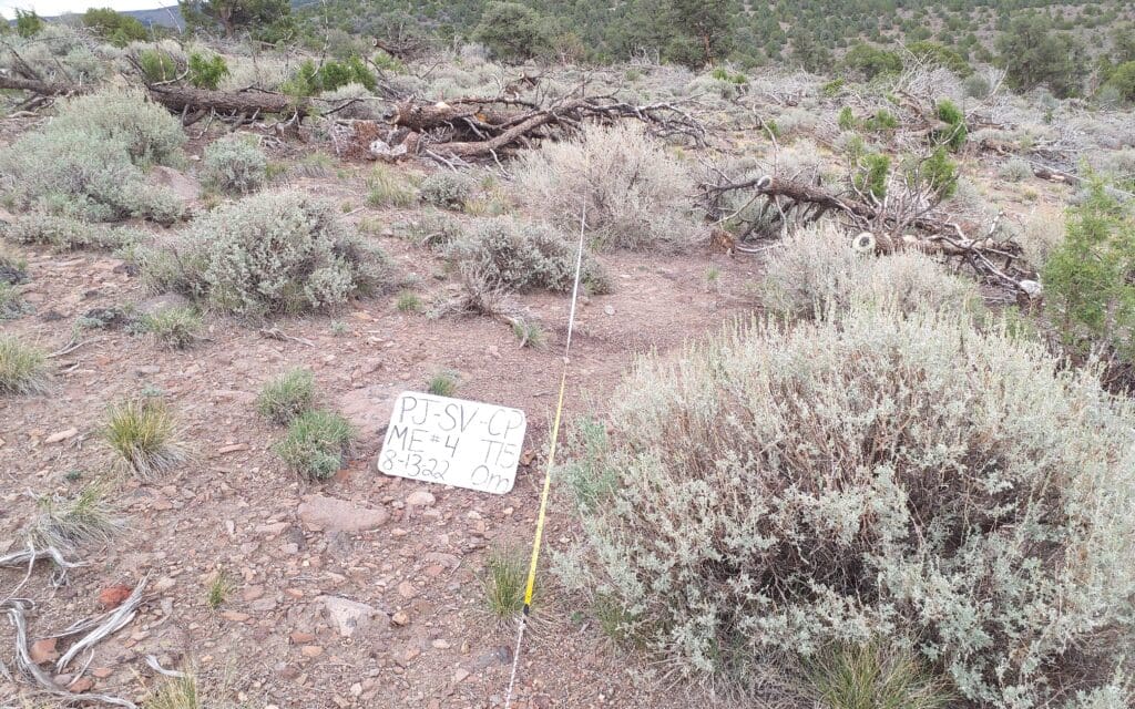 2022: 15 years post-treatment