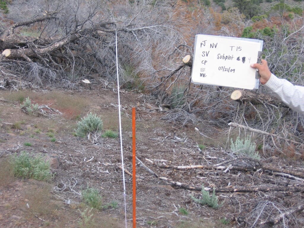 2009: 2 years post-treatment