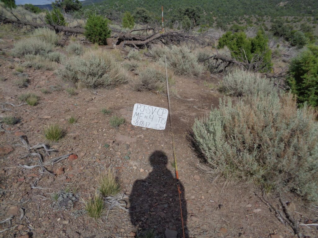 2017: 10 years post-treatment 