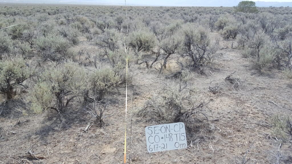 2021: 15 years post-treatment