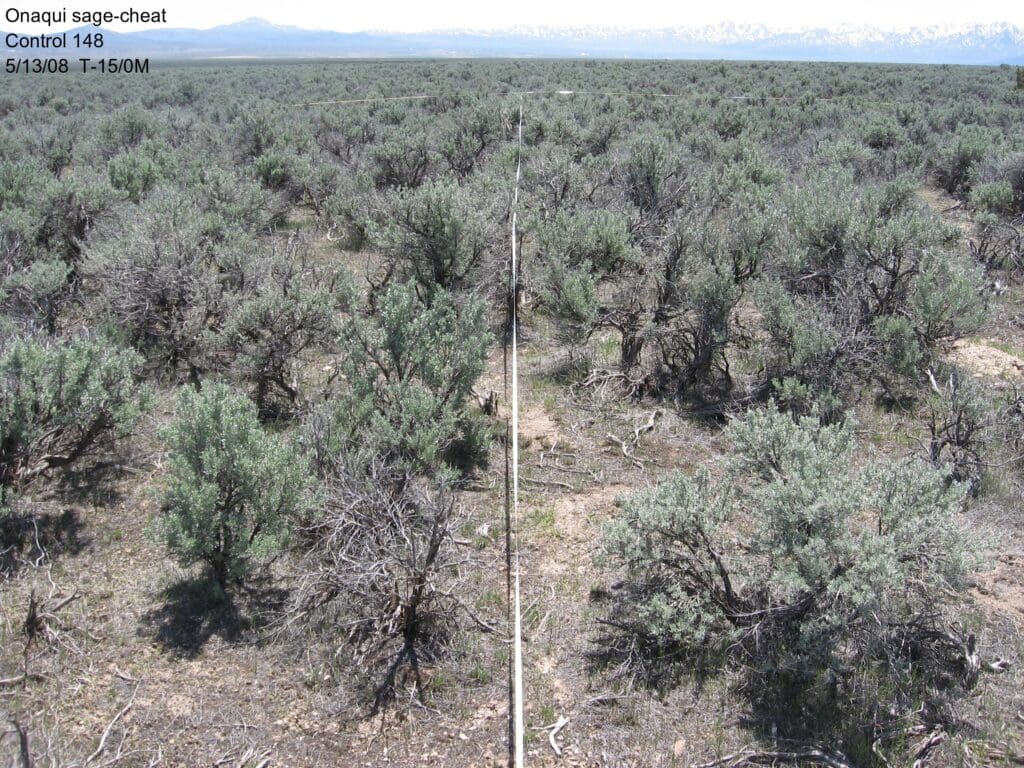 2008: 2 years post-treatment