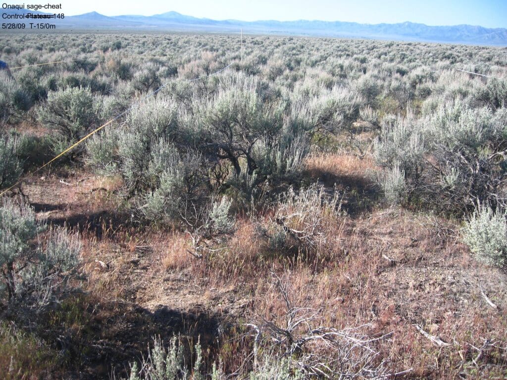 2009: 3 years post-treatment