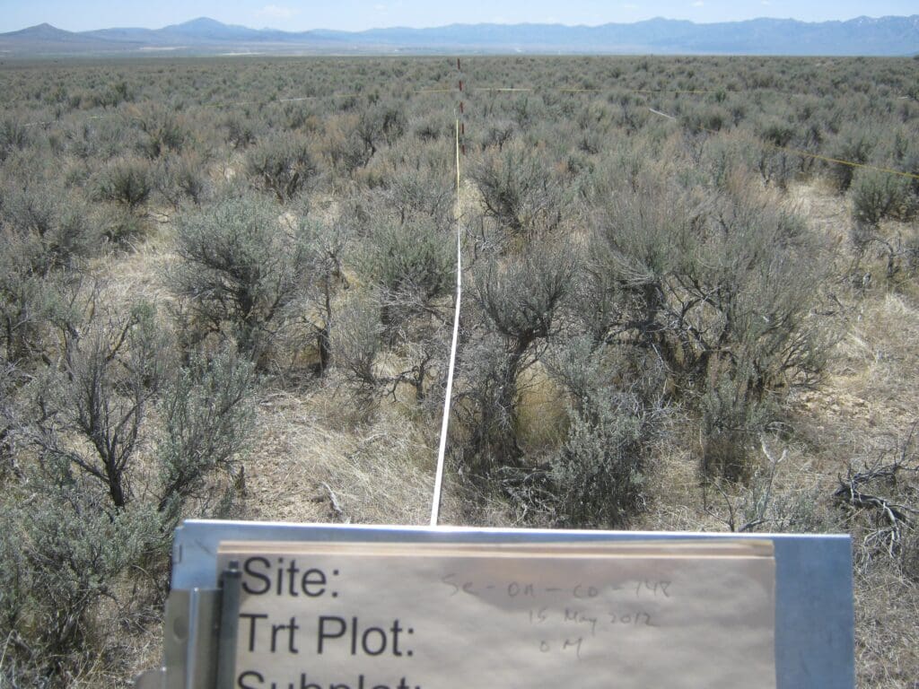 2012: 6 years post-treatment