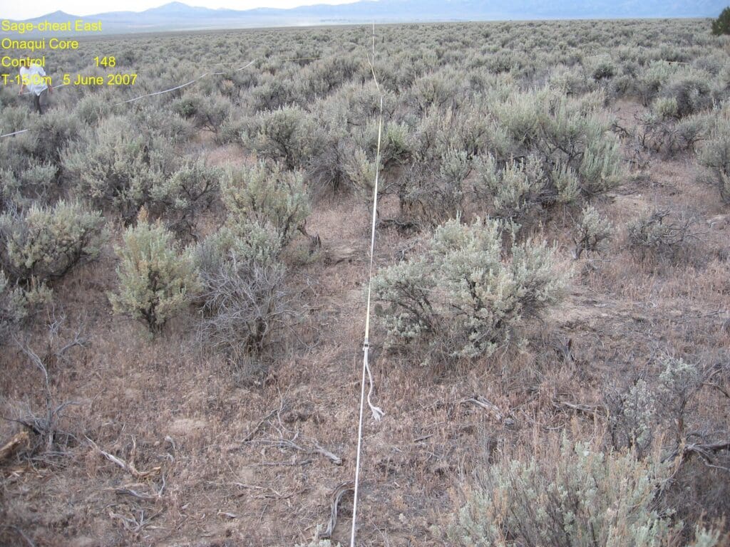 2007: 1 year post-treatment