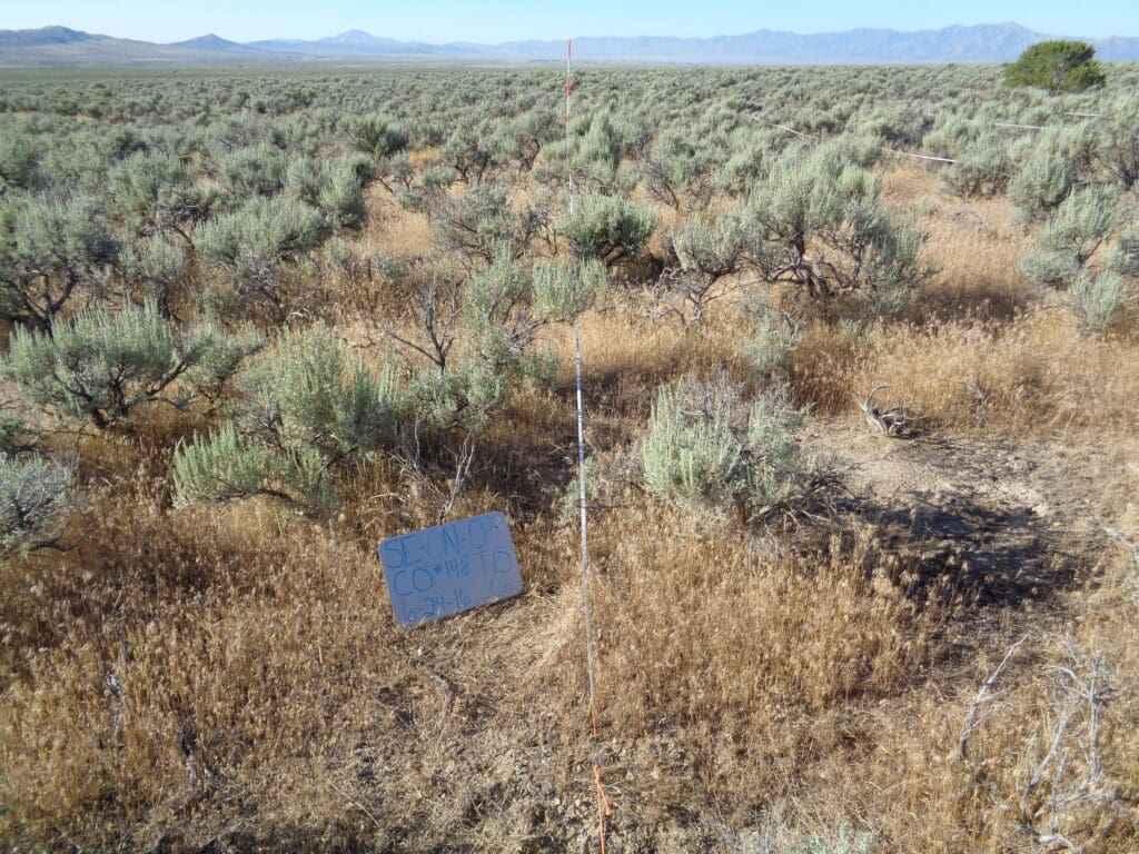 2016: 10 years post-treatment