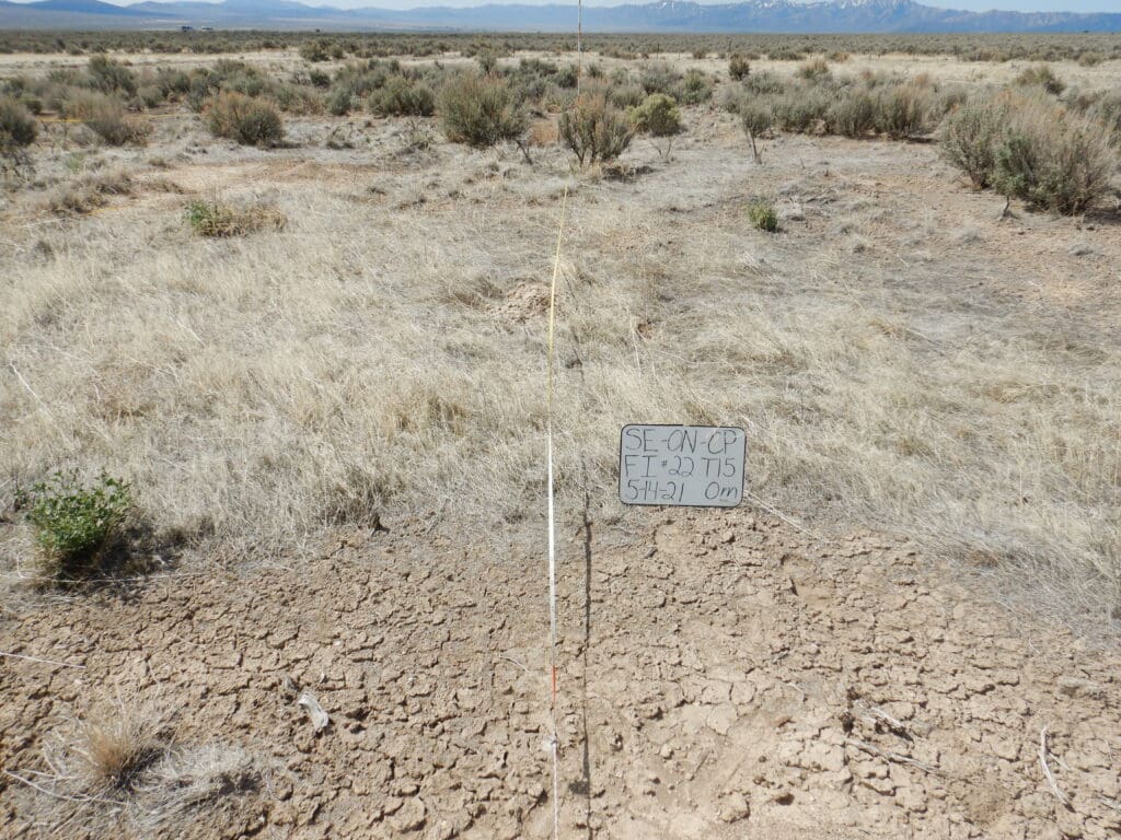 2021: 15 years post-treatment