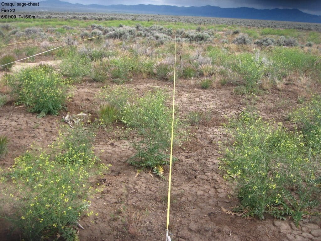 2009: 3 years post-treatment