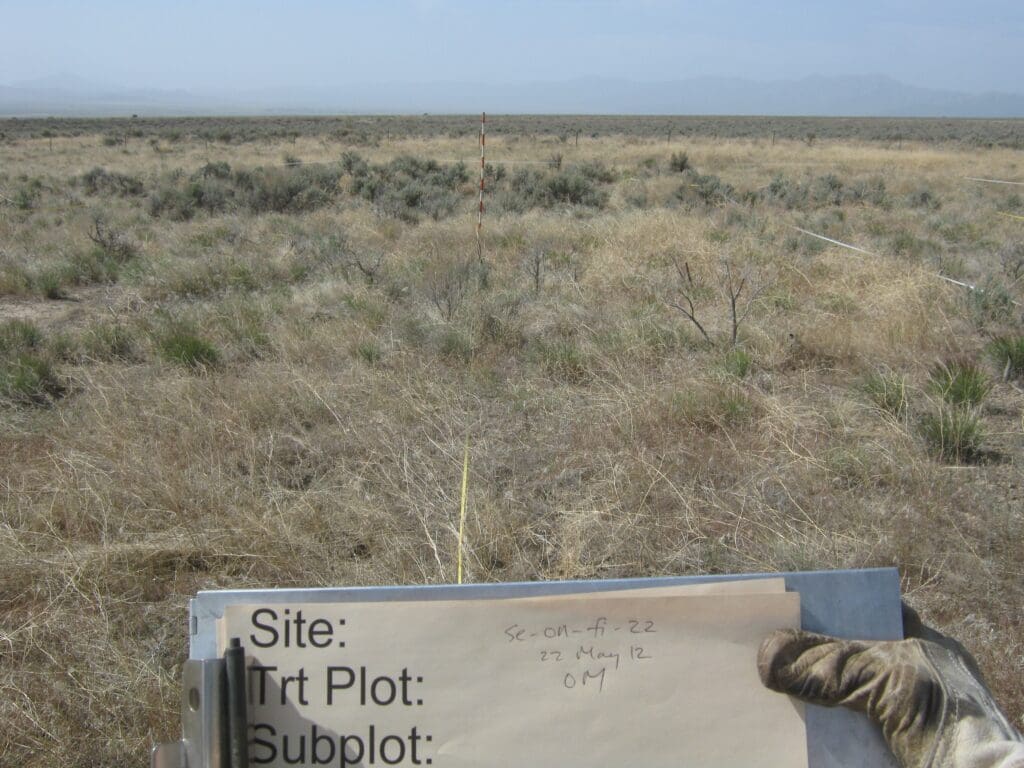 2012: 6 years post-treatment